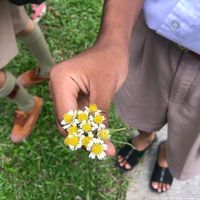 เสียงต้นฉบับ - Diw