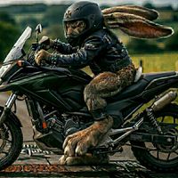 som original - Veja trechos