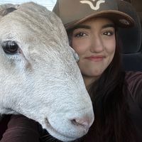 leylan_barajas049