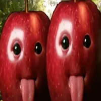 original sound - fdshigx