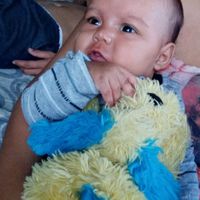 deiberson.15