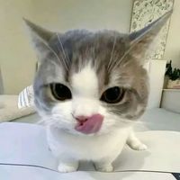 isydevl__