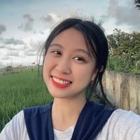 tieuhoai2024