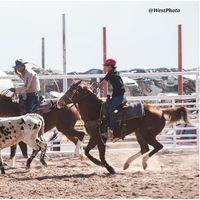luiszapata1264