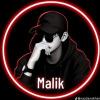 malik.zeeshan.shani53