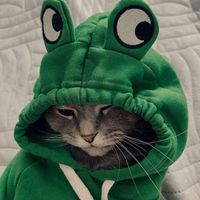 nhạc nền - M-TP IN HEART