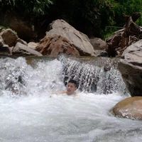 linh.c.n41