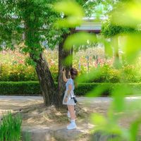 오리지널 사운드 - 리아우