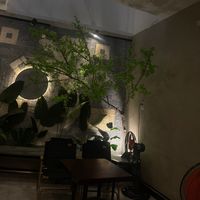 nhạc nền - Văn Sữu🌤️