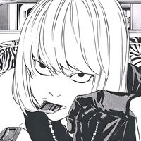 ._gray511