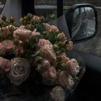 trangn46628873180