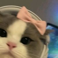 suara asli - nabila-salsa