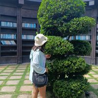nangnoon743