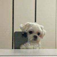 xxynlly5