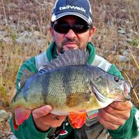 original sound - Vankocraft Fishing