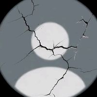 .20081864