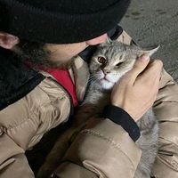 оригинальный звук