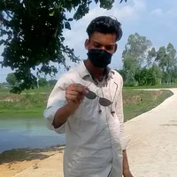 original sound - koshalyadavbrand