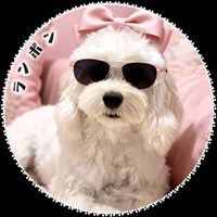 オリジナル楽曲 - 🫧🐶ラン🫧🐶🪄🃏