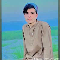 user31215167660716