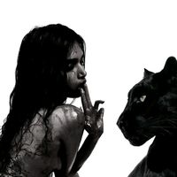 it_me_amoura