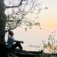 bidanroy07