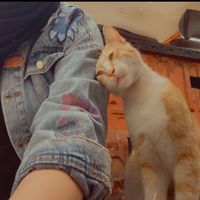 catslover5748