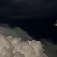 original sound - saliewsx