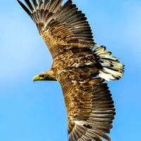 original sound - 13_a.j.a.y_