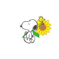 juu.sofi_