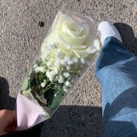 ues_maya