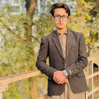 hamzaamjad621