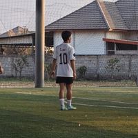 luesay166