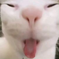 suara asli - adee_naa🤡💤💦