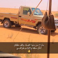 mamdoh_2530
