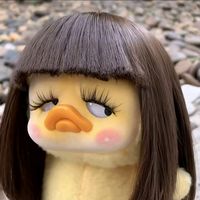 bakteri_lucu