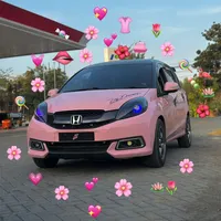 original sound - pinkylio.ziey