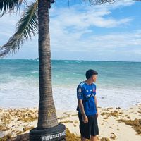 maxi_ldaa