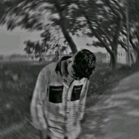 নিজস্ব শব্দ