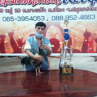 sorayayutithum242