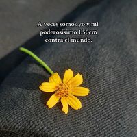 frida_va