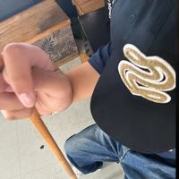 wmkjitmm