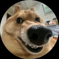 nhạc nền - Trùm xem chùa xạo lồn nhất 🤫