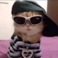 bleendqlov3