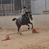 jadabdelrazeq