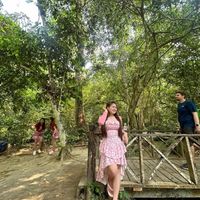 phea_87