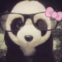 yxket_e