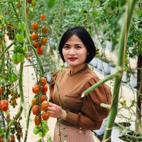 thanhthuy.tsh