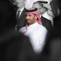 mesaudii
