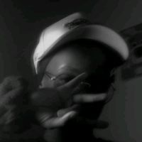 _444.chams_